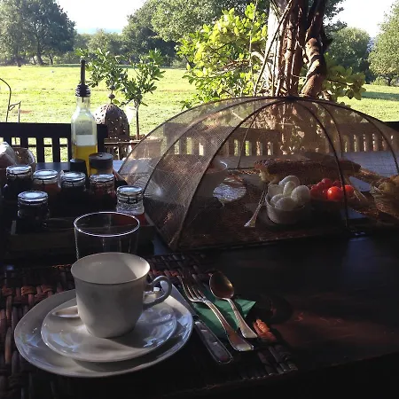 Dopo Il Settimo Cielo Bed & Breakfast
