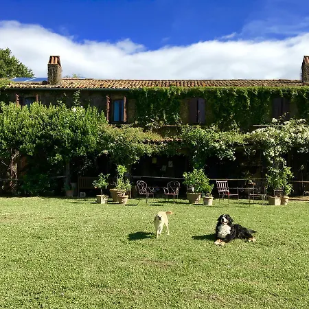 Dopo Il Settimo Cielo