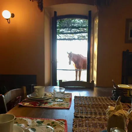 Dopo Il Settimo Cielo Bed & Breakfast